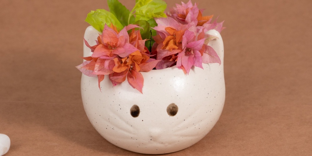collection-banner-image
